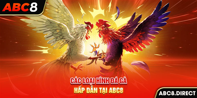 Các loại hình đá gà hấp dẫn tại ABC8