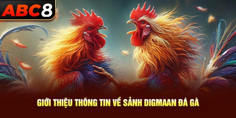 Giới thiệu thông tin về sảnh Digmaan đá gà