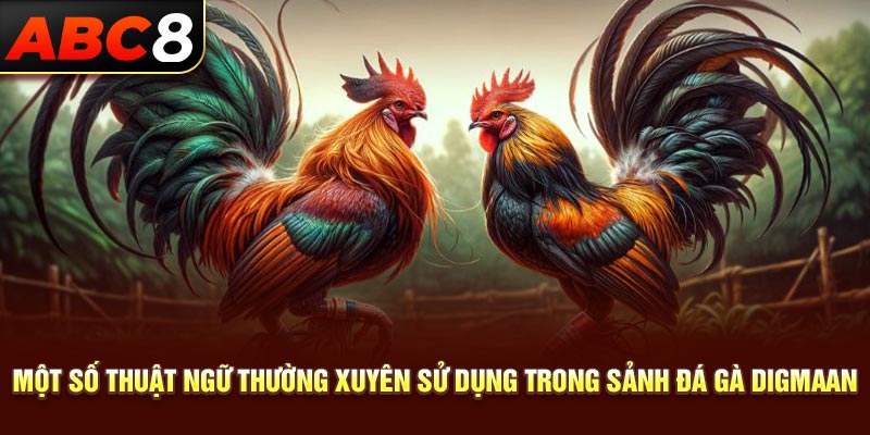 Một số thuật ngữ thường xuyên sử dụng trong sảnh đá gà Digmaan