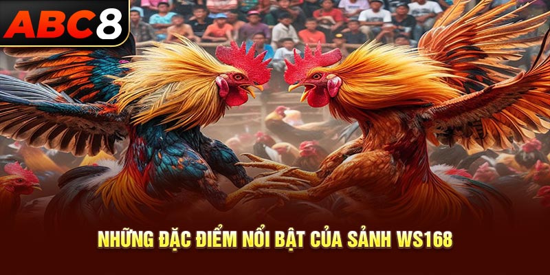 Những đặc điểm nổi bật của sảnh WS168