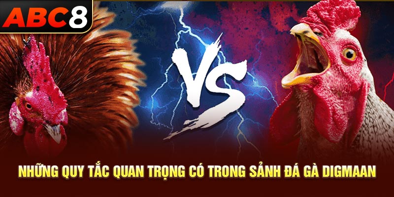 Những quy tắc quan trọng có trong sảnh đá gà Digmaan