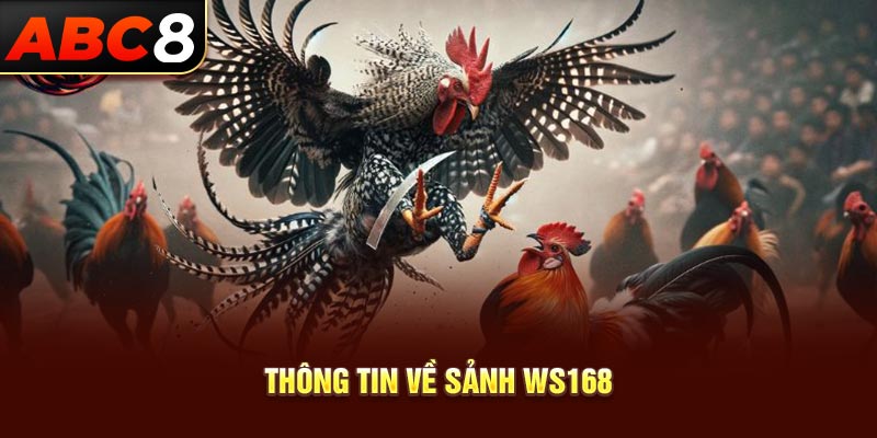 Thông tin về sảnh WS168